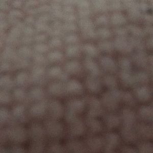 Meet your Posher, Abbey